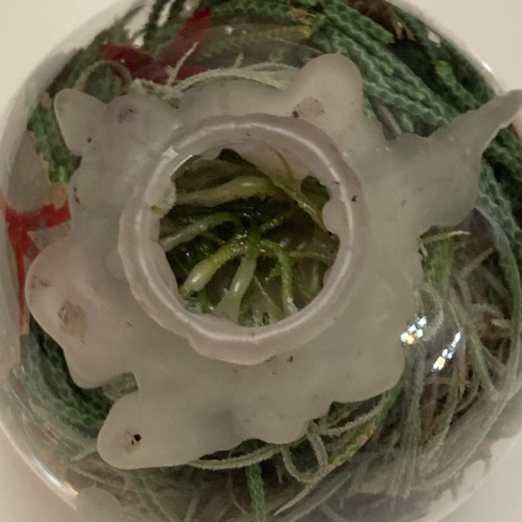 House Blessings, Prosperity, Protection Witch Ball set - Picture 11 of 14